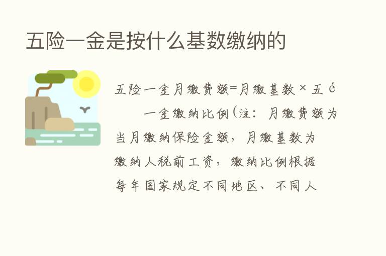 五险一金是按什么基数缴纳的