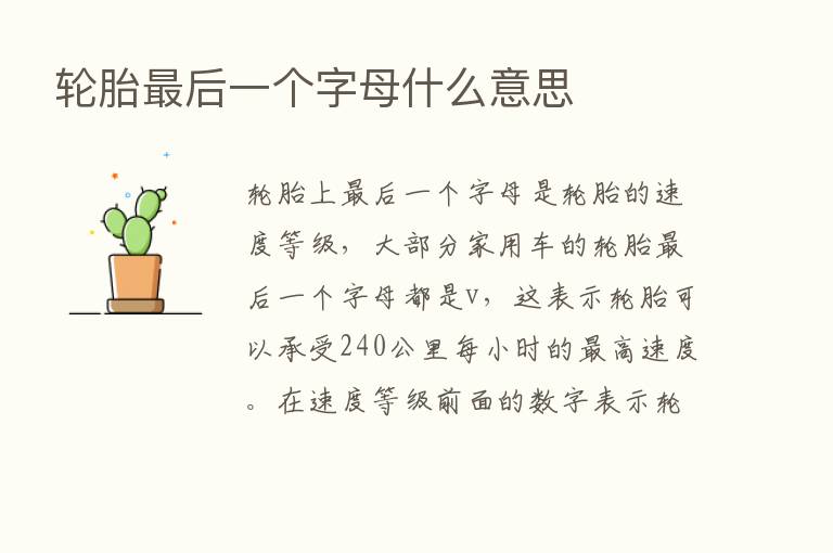 轮胎   后一个字母什么意思