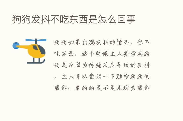 狗狗发抖不吃东西是怎么回事