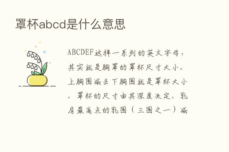 罩杯abcd是什么意思