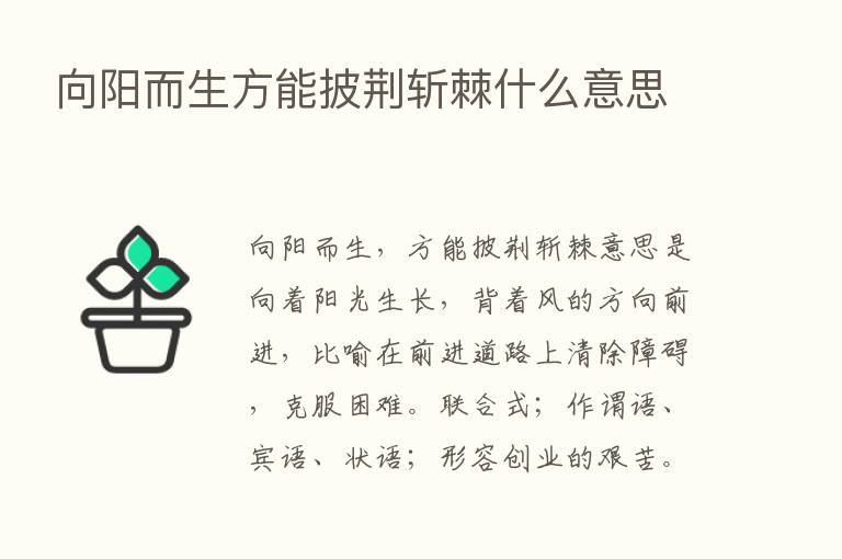 向阳而生方能披荆斩棘什么意思