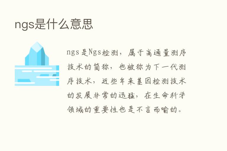 ngs是什么意思