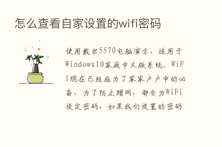 怎么查看自家设置的wifi密码