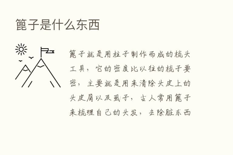 篦子是什么东西