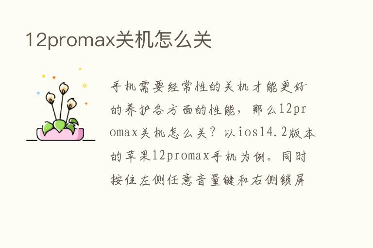 12promax关机怎么关