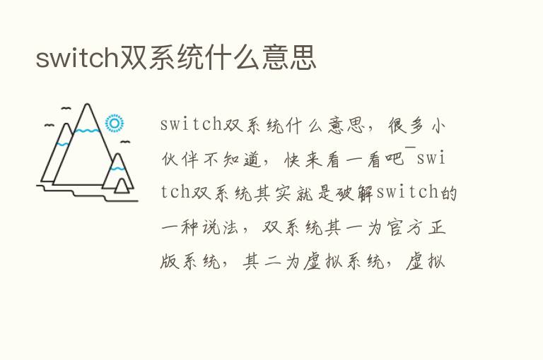 switch双系统什么意思