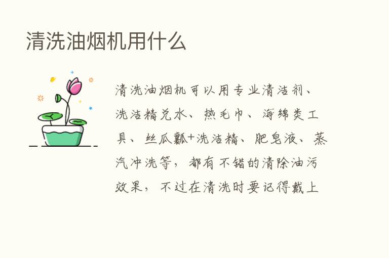 清洗油烟机用什么