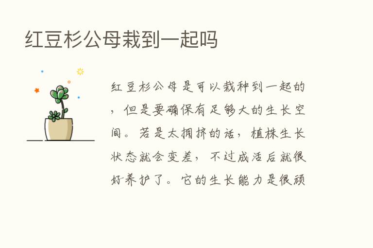 红豆杉公母栽到一起吗