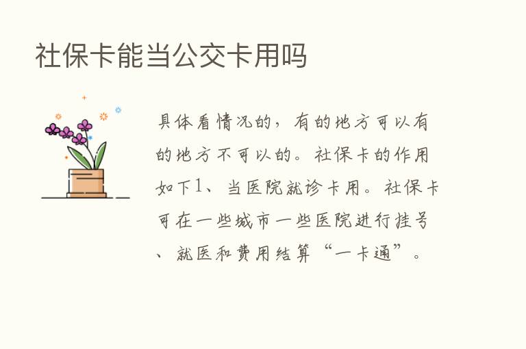 社保卡能当公交卡用吗