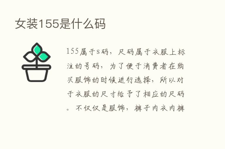 女装155是什么码