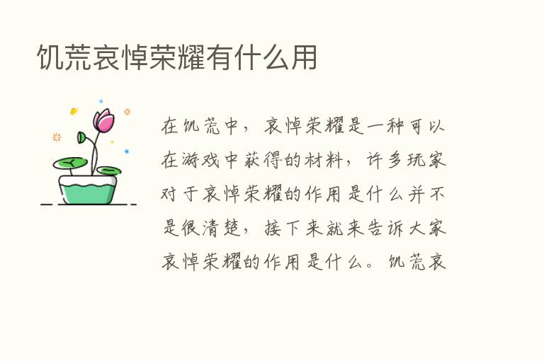 饥荒哀悼      有什么用