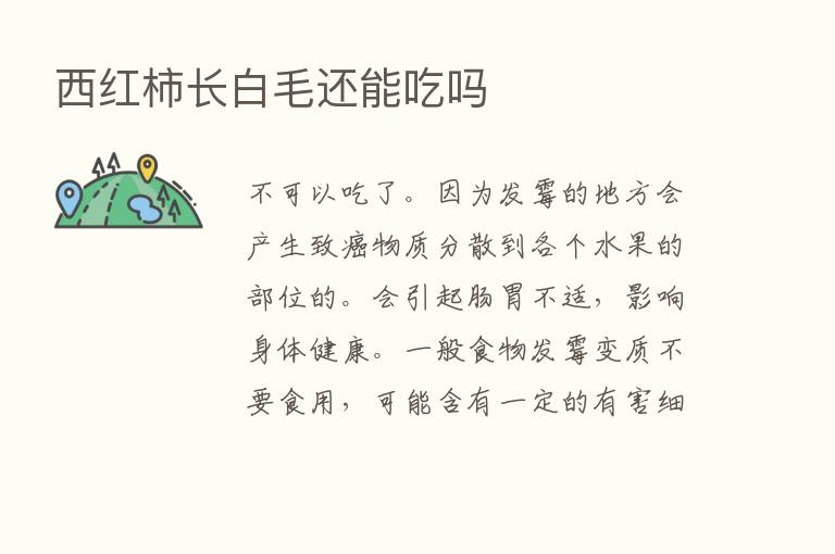 西红柿长白毛还能吃吗