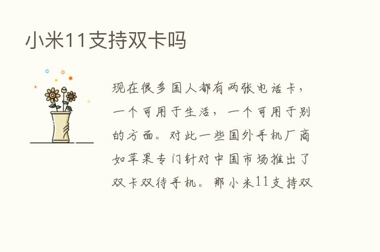 小米11支持双卡吗