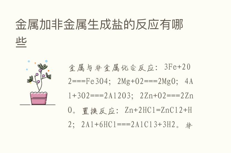 金属加非金属生成盐的反应有哪些