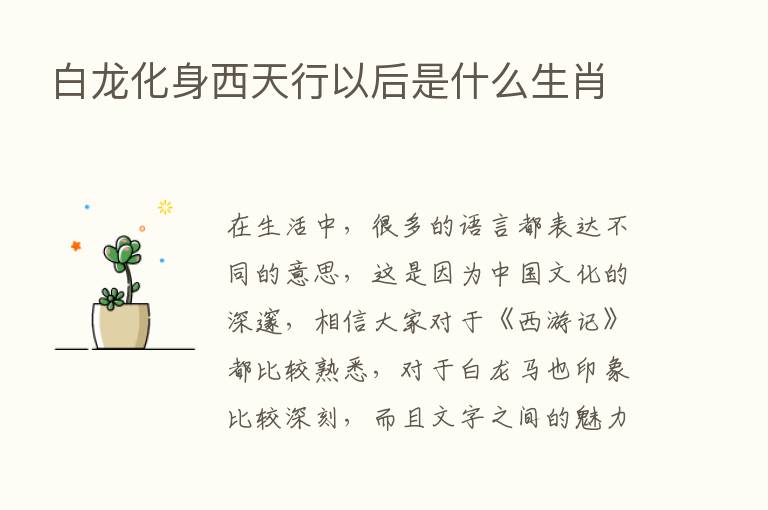 白龙化身西天行以后是什么生肖