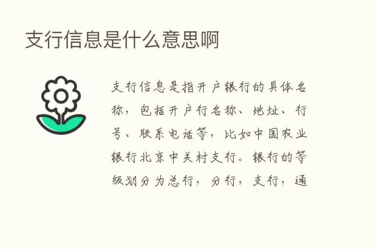 支行信息是什么意思啊