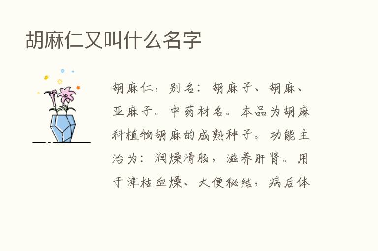 胡麻仁又叫什么名字