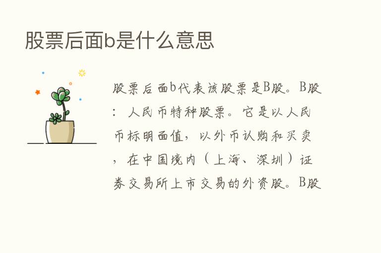 股票后面b是什么意思