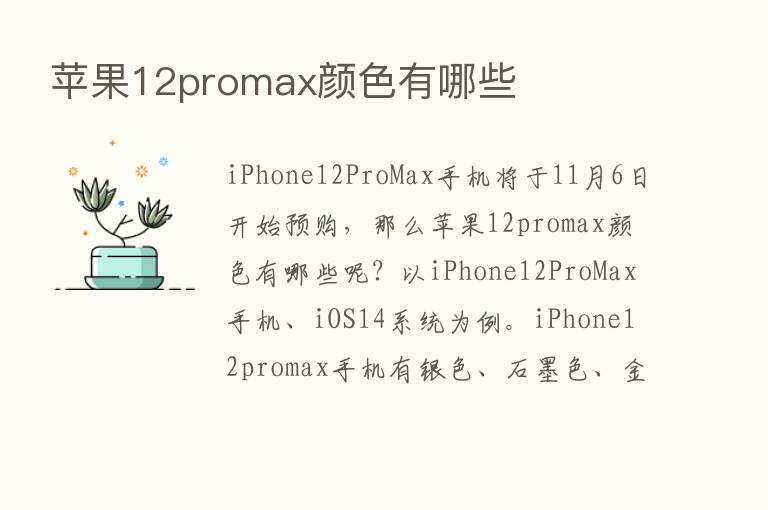 苹果12promax颜色有哪些