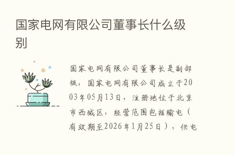 国家电网有限公司董事长什么级别