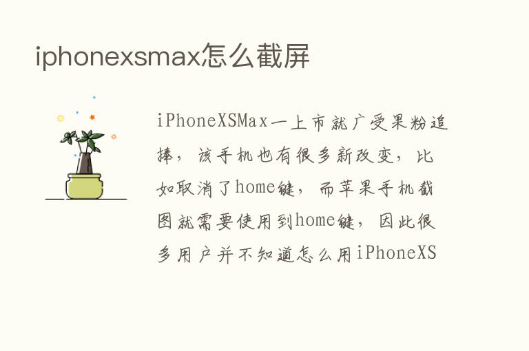 iphonexsmax怎么截屏