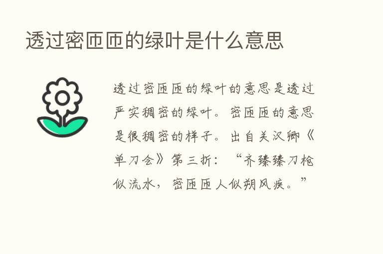 透过密匝匝的绿叶是什么意思