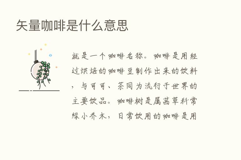 矢量咖啡是什么意思