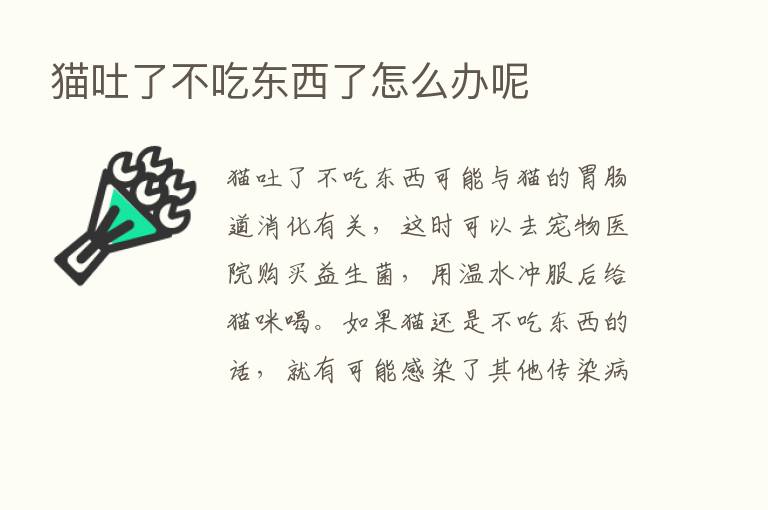 猫吐了不吃东西了怎么办呢