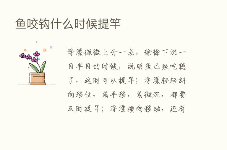 鱼咬钩什么时候提竿