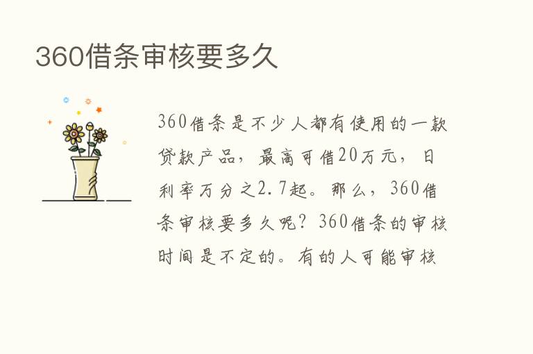 360借条审核要多久