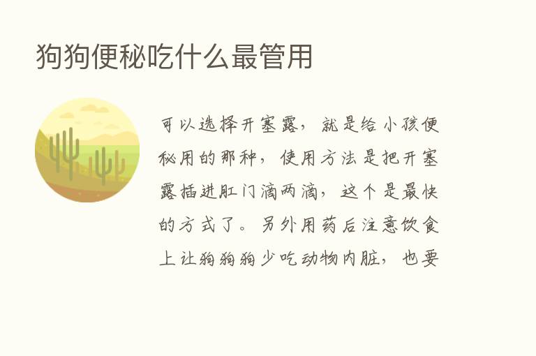 狗狗便秘吃什么   管用