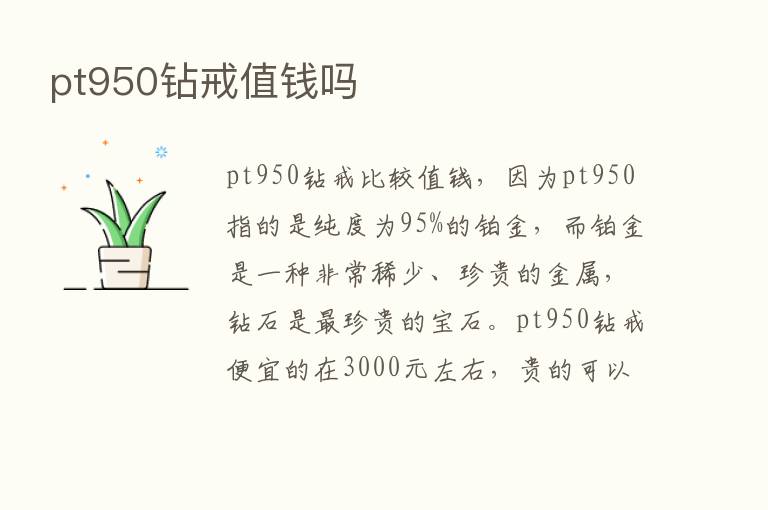 pt950钻戒值前吗