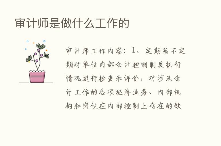 审计师是做什么工作的