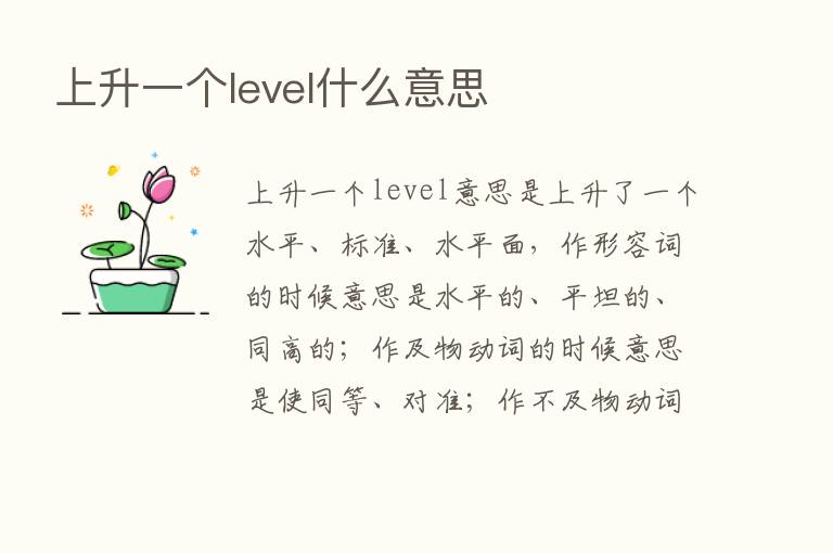 上升一个level什么意思