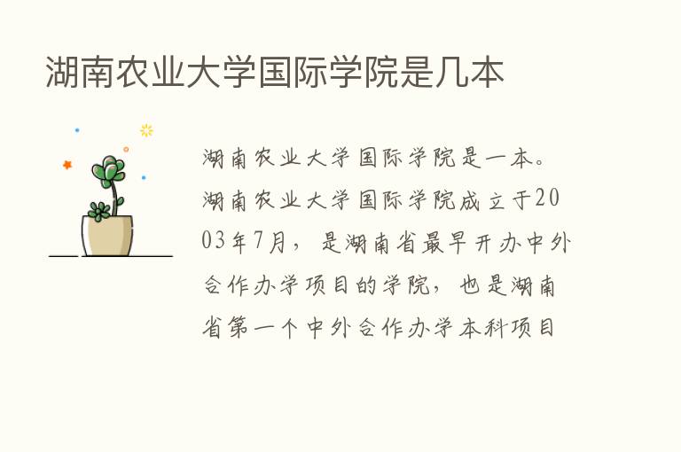 湖南农业大学国际学院是几本