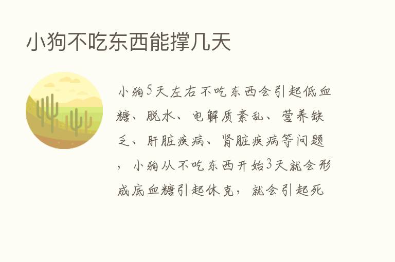 小狗不吃东西能撑几天