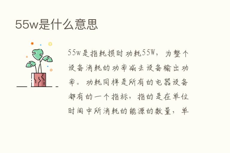 55w是什么意思