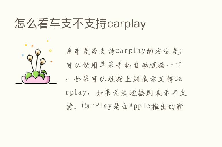 怎么看车支不支持carplay