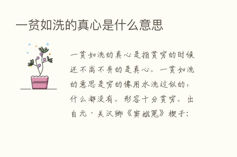 一贫如洗的真心是什么意思