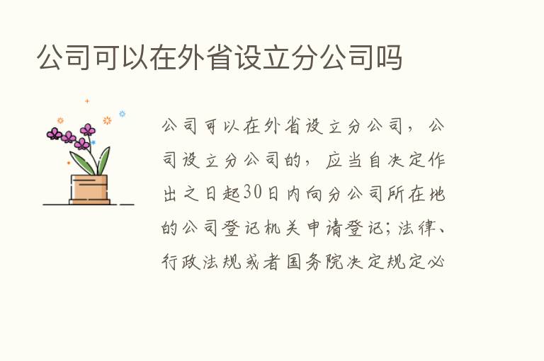 公司可以在外省设立分公司吗