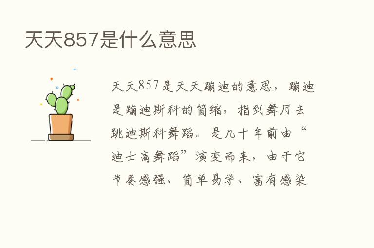 天天857是什么意思