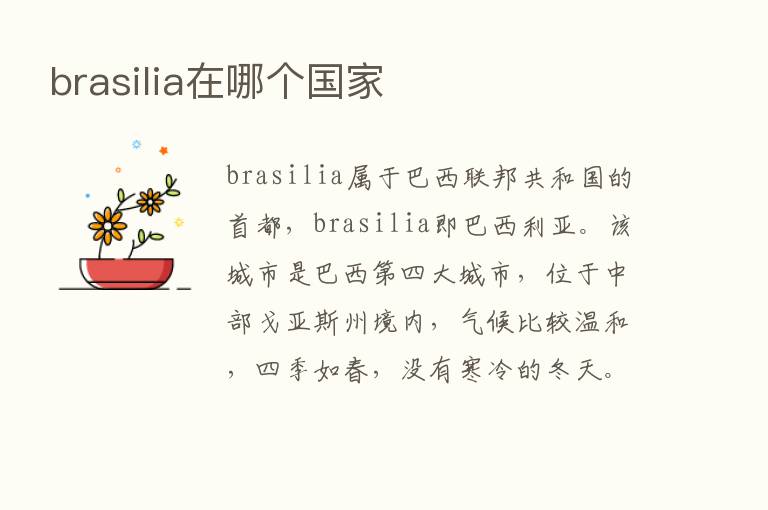 brasilia在哪个国家