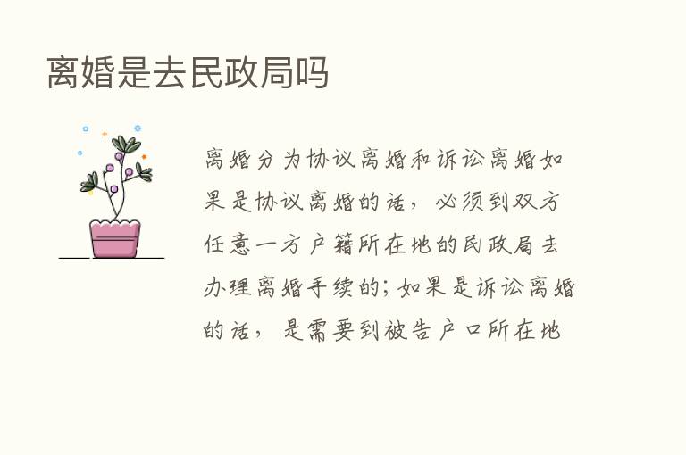 离婚是去民政局吗