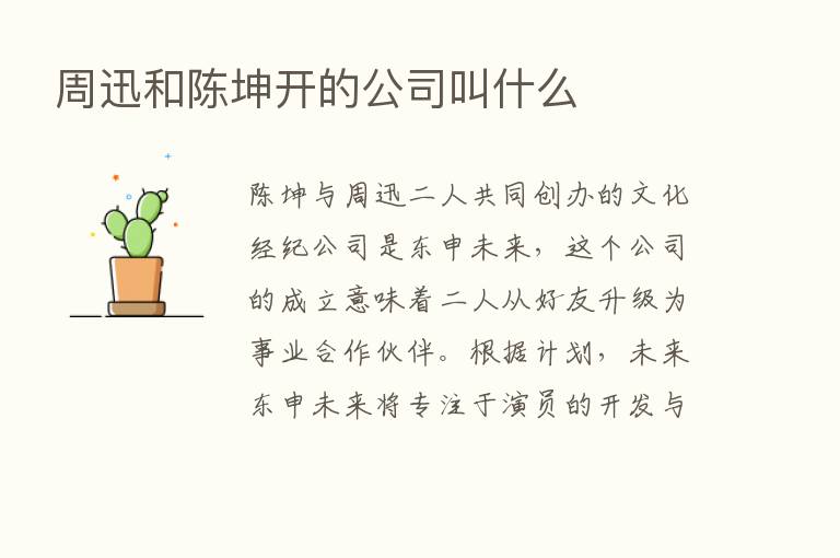 周迅和陈坤开的公司叫什么