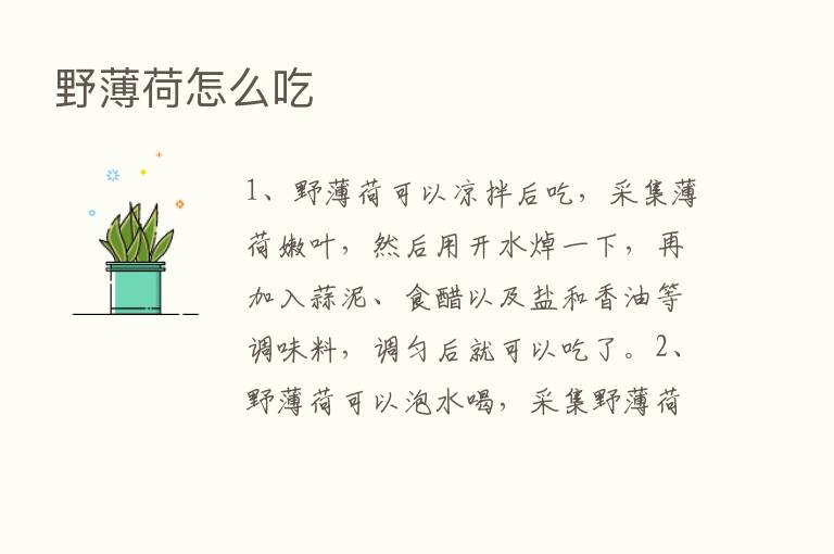 野薄荷怎么吃