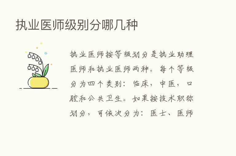 执业医师级别分哪几种