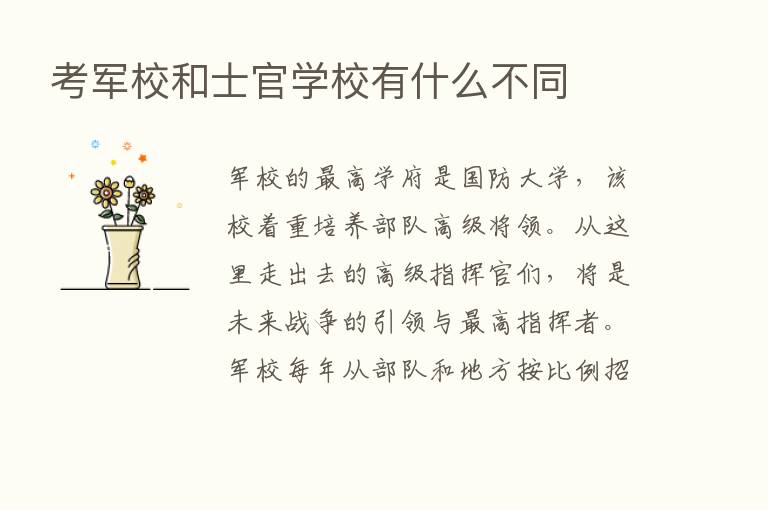 考军校和士官学校有什么不同