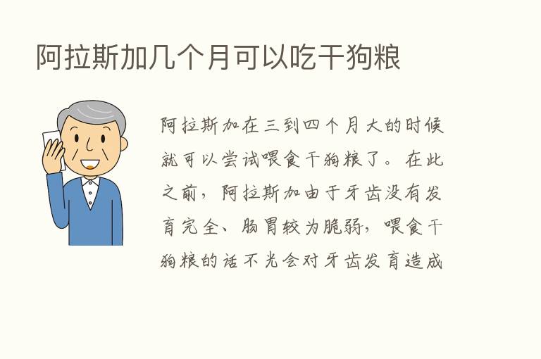 阿拉斯加几个月可以吃干狗粮