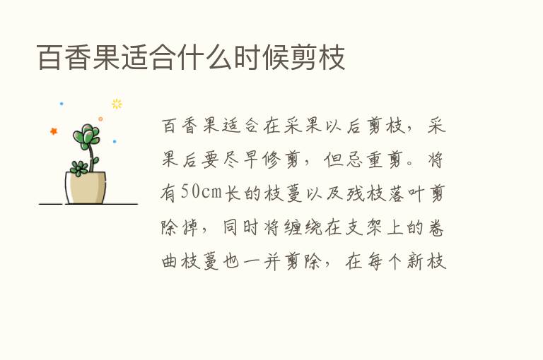 百香果适合什么时候剪枝