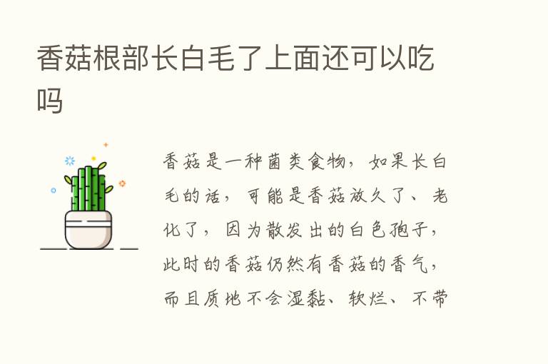 香菇根部长白毛了上面还可以吃吗